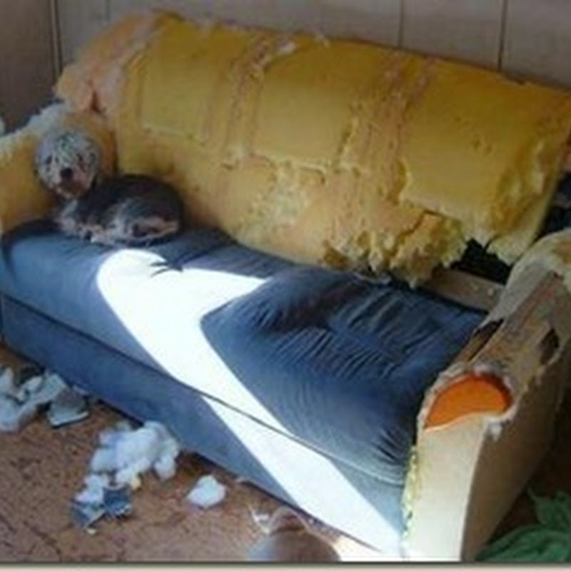 Concord Green In Praise of Bed Alcoves